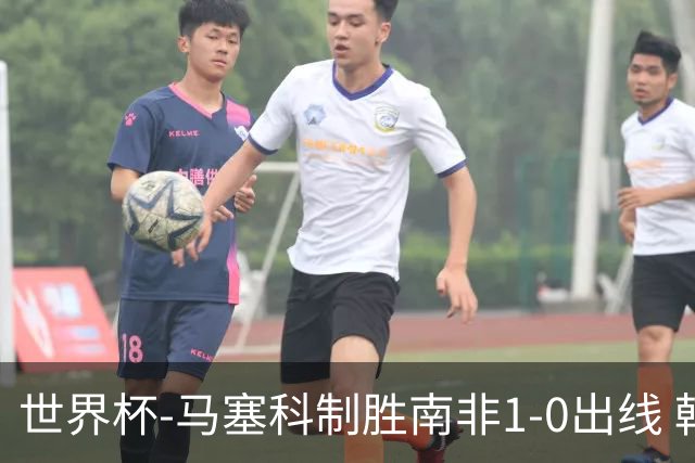 世界杯-马塞科制胜南非1-0出线 韩国积3分获小组第三待定